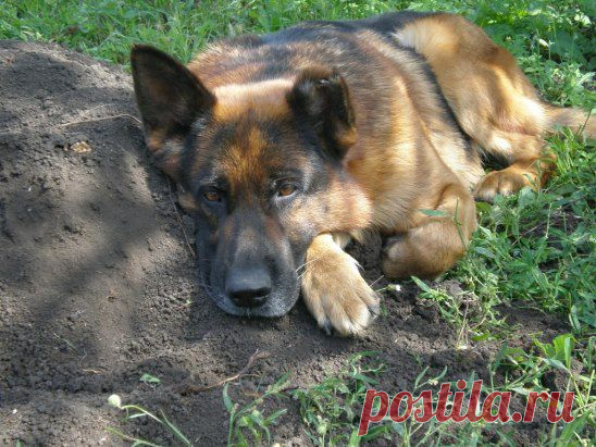 (74) Одноклассники