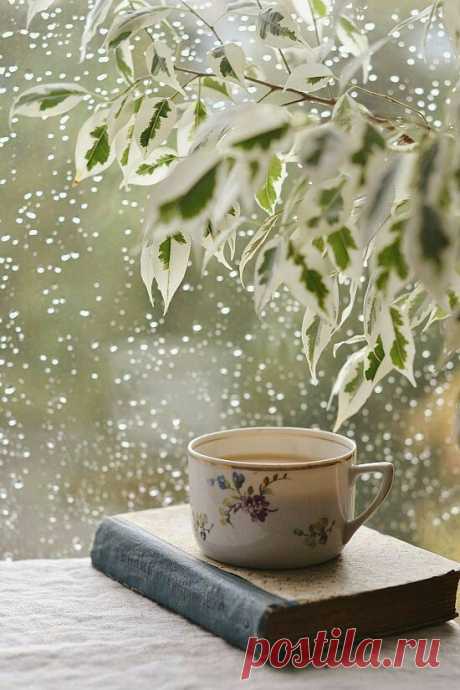 (738) Pinterest