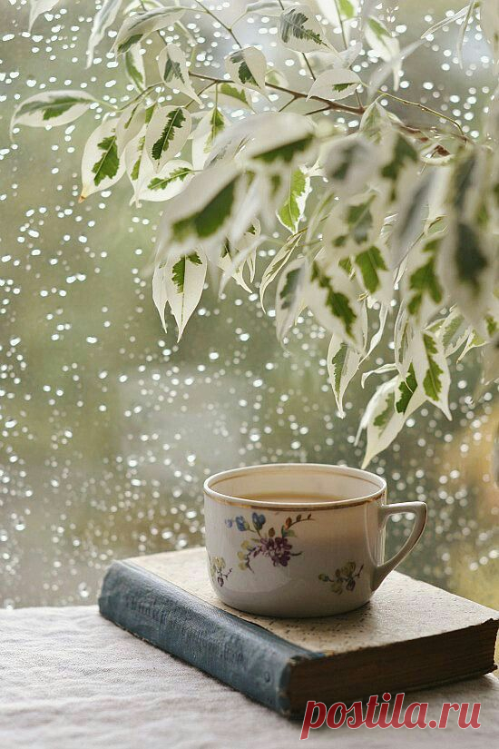 (738) Pinterest