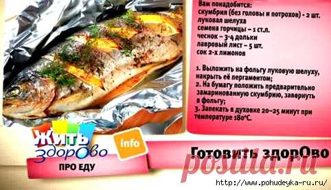 Самые лучшие рыбы на свете. Скумбрия и чем она полезна!