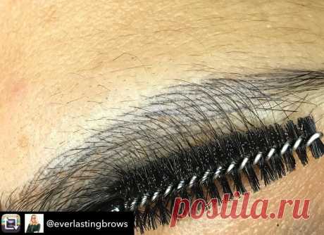 Everlasting Brows Academy в Instagram: «Healed Yaya pigment 💕 look how amazing the colour is and how crisp the hair strokes are. Everlasting pigments are all produced in Germany…» 56 отметок «Нравится», 1 комментариев — Everlasting Brows Academy (@everlastingbrowsme) в Instagram: «Healed Yaya pigment 💕 look how amazing the colour is and how crisp the hair strokes are.…»