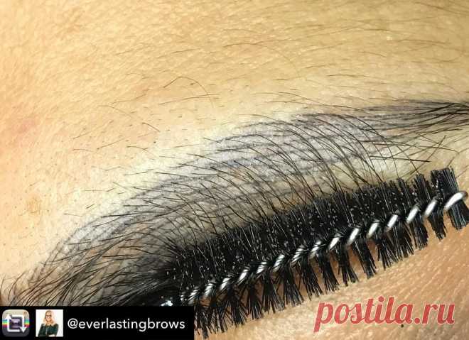 Everlasting Brows Academy в Instagram: «Healed Yaya pigment 💕 look how amazing the colour is and how crisp the hair strokes are. Everlasting pigments are all produced in Germany…» 56 отметок «Нравится», 1 комментариев — Everlasting Brows Academy (@everlastingbrowsme) в Instagram: «Healed Yaya pigment 💕 look how amazing the colour is and how crisp the hair strokes are.…»