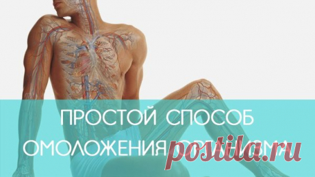 Простой способ омоложения организма | ECONET.ru | Яндекс Дзен
