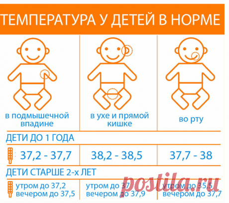 Какая температура тела человека нормальная и когда не надо сбивать жар