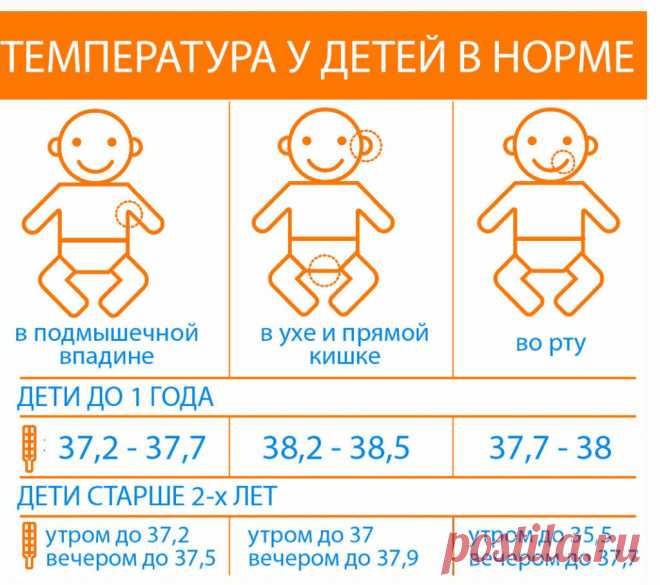 Какая температура тела человека нормальная и когда не надо сбивать жар