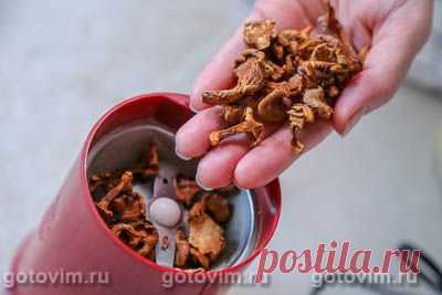 Грибной порошок из сушеных грибов с солью. Рецепт с фото
