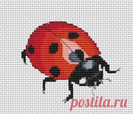 Gallery.ru / Елена Птица - Рукодел