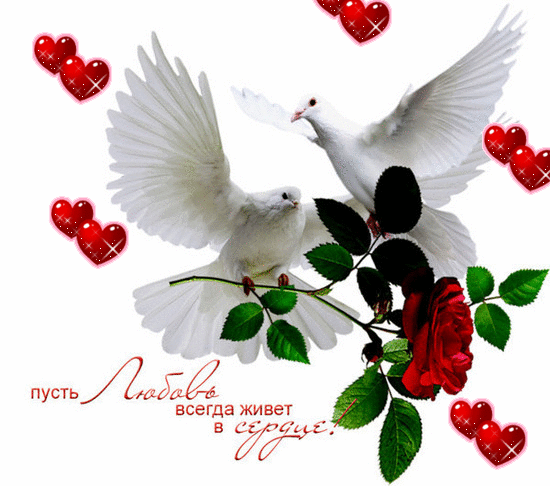 пусть любовь всегда живет  в сердце!!!