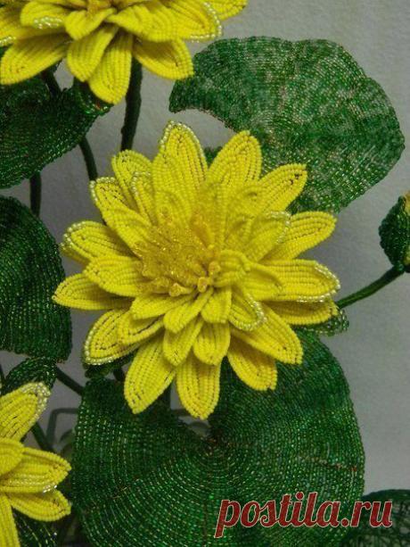 Кувшинки из бисера | 3vision - Fashion blog