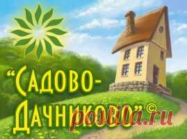 Восемь секретов укоренения черенков | Садово-Дачниково