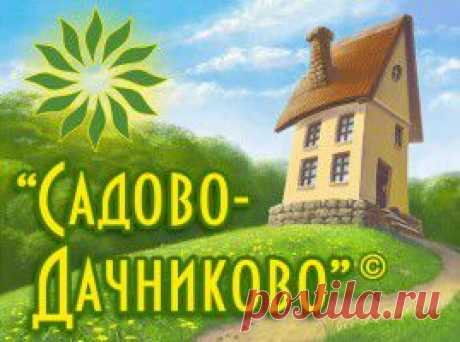 Восемь секретов укоренения черенков | Садово-Дачниково