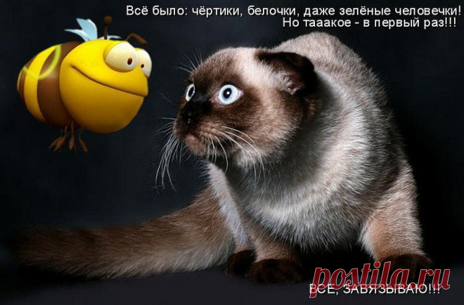 Одноклассники