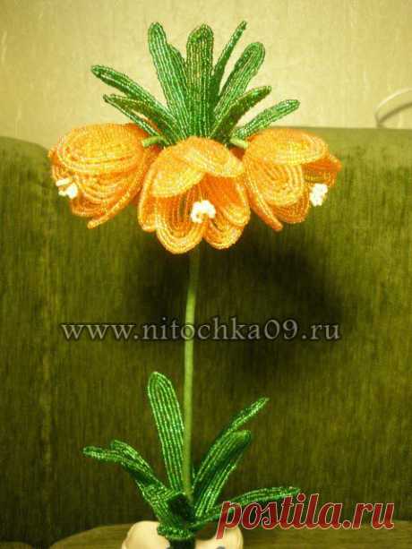 Рябчик императорский из бисера (конкурс) | Золотые Руки