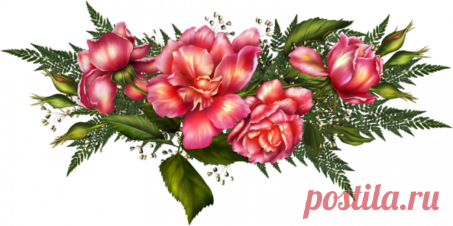 Цветы - Клипарты PNG - Клипарты у Анны.