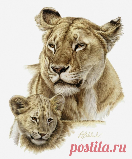 Кошачьи портреты Гая Коэлича - Искусство животных Гая Коэлича