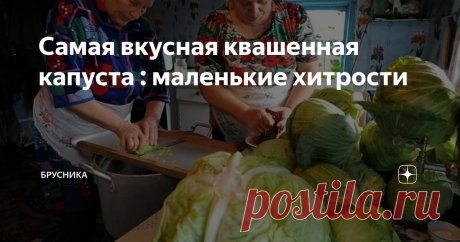 Самая вкусная квашенная капуста : маленькие хитрости Квасить на Руси капусту начинали с 8 октября. Именно 8 октября отмечают Сергиев День ( Сергея Капустника). Еще издревле считалось, что квасить капусту стоит на 6 день после Новолуния, тогда и капуста выйдет смачной.
И сейчас опытные хозяйки  знают, что не стоит квасить капусту в полнолуние, иначе как не старайся она получится слизкой, невкусной,мягкой да быстро испортится.
А еще в бочку с