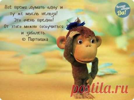 Новости Много думать очень вредно