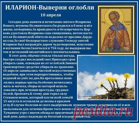 С днем Илариона! Пусть вывернутся оглобли, а вместе с ними — все печали и заботы! Пусть весна принесет тепло в дом и радость в сердце, а здоровье будет крепким, как мать-и-мачеха! Открытки на  Иларион-выверни оглобли!