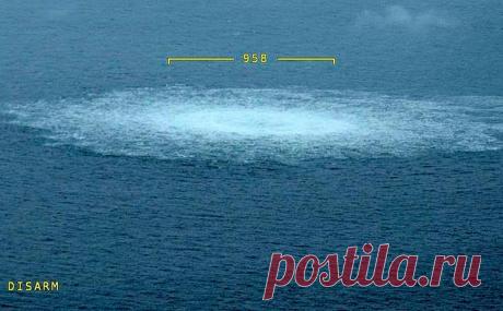 В Швеции заявили о цели найти виновных подрыве Nord Stream к осени. Шведская прокуратура рассчитывает завершить расследование подрыва на газопроводах Nord Stream этой осенью, сообщил ответственный за расследование прокурор Матс Юнгквист. Кремль считает ответственными за диверсию «англосаксов»