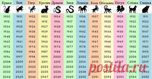 У Тигров грядут большие перемены, а Петухов ждет масса сюрпризов | Golbis