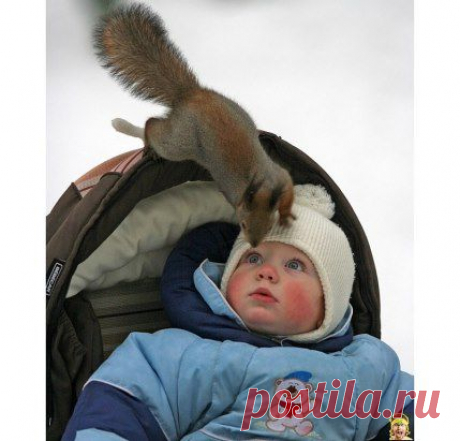 - Орехи есть? 
- Ты чё?! .... У меня и зубов то нет!