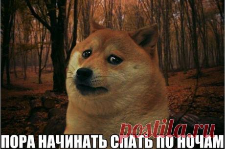 Алия Шагеева