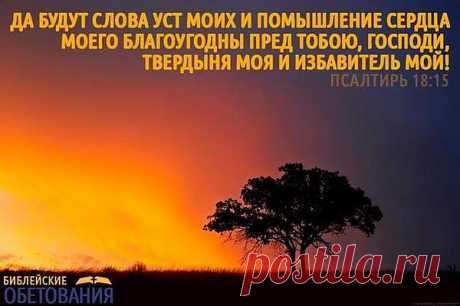 10	Ибо, как раб, постоянно подвергающийся наказанию, не избавляется от ран, так и клянущийся непрестанно именем Святаго не очистится от греха. 
11	Человек, часто клянущийся, исполнится беззакония, и не отступит от дома его бич. 
12	Если он согрешит, грех его на нем; и если он вознерадел, то сугубо согрешит; 
13	и если он клялся напрасно, то не оправдается, и дом его наполнится несчастьями. 
(кн.Сирах.23:..)