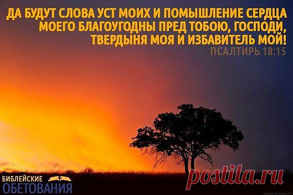 10	Ибо, как раб, постоянно подвергающийся наказанию, не избавляется от ран, так и клянущийся непрестанно именем Святаго не очистится от греха. 
11	Человек, часто клянущийся, исполнится беззакония, и не отступит от дома его бич. 
12	Если он согрешит, грех его на нем; и если он вознерадел, то сугубо согрешит; 
13	и если он клялся напрасно, то не оправдается, и дом его наполнится несчастьями. 
(кн.Сирах.23:..)