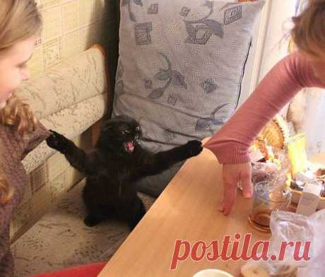 Мой Мир@Mail.Ru