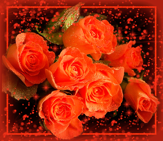 Оранжевая Роза! Ты словно роза так прекрасна! Улыбкой скромной так мила... - МузОткрытка