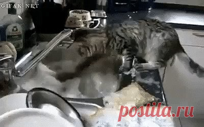 Одноклассники