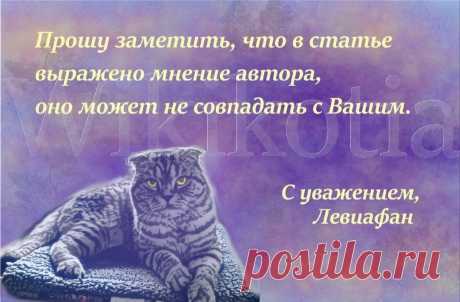 Подводные камни при выборе сухих кормов для кошек или как распознать недобросовестного производителя | WikiКотия | Дзен