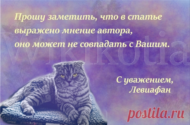 Подводные камни при выборе сухих кормов для кошек или как распознать недобросовестного производителя | WikiКотия | Дзен