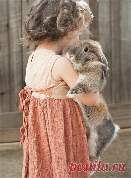 Где еще такое увидишь?!!!!