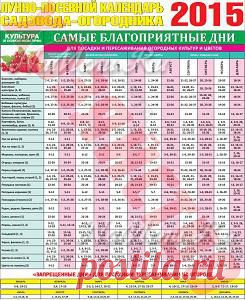 Календарь посадки семян на рассаду 2015