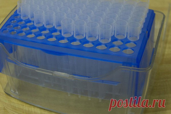 Японские ученые создали вакцину против старения Японские ученые разработали вакцину, которая способна замедлить старение человека, сообщает журнал Nature Aging.Препарат создали на основе аминокислот и живого белка. Его основу составляет пептид, который способен разрушать старые клетки (зомби-клетки). По словам специалистов, их вакцина...