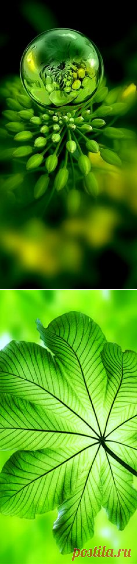 Pinterest • Всемирный каталог идей
