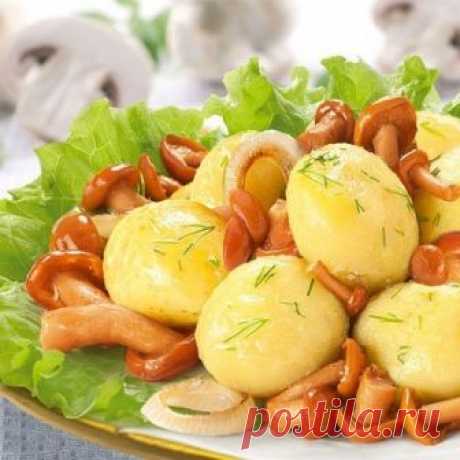 Рецепты на каждый день: вкусно, быстро и легко
