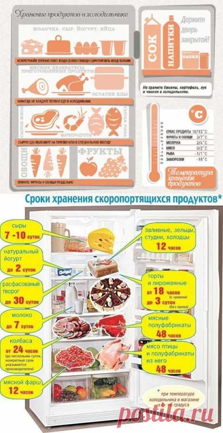 Правильное хранение продуктов в холодильнике