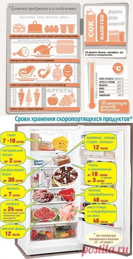 Правильное хранение продуктов в холодильнике