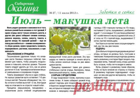 Июль - работа на даче