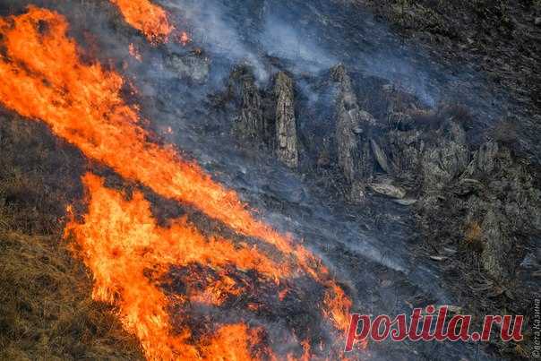 Пожар в долине реки Куюм, Чемальский район, Республика Алтай. Фотографии сделаны 13 и 14 апреля 2018 года. «Не могу сказать, что огонь полностью локализован, но весь день в горах работает пожарный десант Алтайской базы Авиационной охраны лесов. А значит есть надежда, что огонь будет остановлен, лес и сёла, граничащие с пожароопасной зоной, будут спасены. Кстати, с 16 апреля на территории Республики Алтай введён особый противопожарный режим. Введены ограничения пребывания граждан в лесах,…