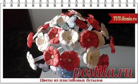 Цветы из пластиковых бутылок своими руками. 
интересный мастер-класс по созданию оригинальных цветов из пластиковых бутылок своими руками.
 Для создания цветов из пластиковых бутылок понадобится:...........