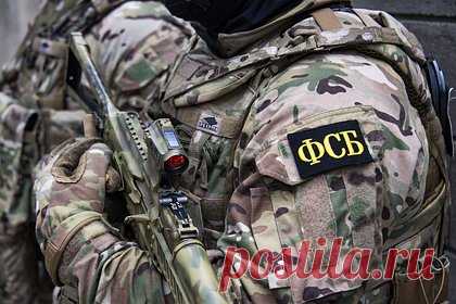 Жук, Давид и Казак. Раскрыты подробности об украинской ДРГ, ликвидированной в Брянской области