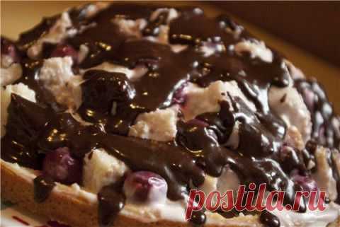 Торт Кудрявый Пинчер.