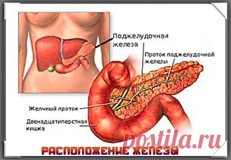 Острый панкреатит. Хронический панкреатит. Симптомы, лечение
