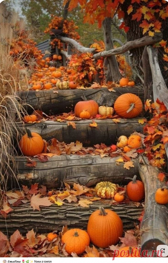 Пин на доске Autumn phone wallpaper