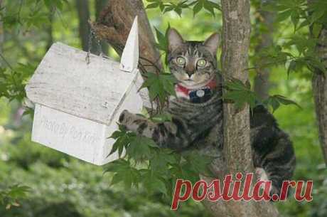 Фото-приколы в понедельник