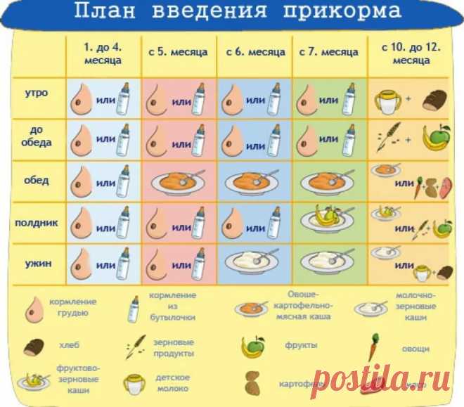 введение прикорма в 4 месяца при искусственном вскармливании таблица: 8 тыс изображений найдено в Яндекс.Картинках