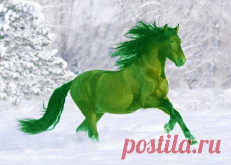 сообщение Romellina : 2014 ГОД - ГОД ЗЕЛЕНОЙ ЛОШАДИ (15:51 23-12-2013) [5198157/304639164] - nadezda_55@mail.ru - Почта Mail.Ru